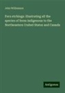 John Williamson - Fern etchings: illustrating all the species of ferns indigenous to the Northeastern United States and Canada
