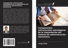Cengiz Erdal - Componentes estructurales estratégicos de la implantación del sistema de administración electrónica