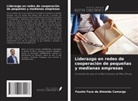 Fausto Fava de Almeida Camargo - Liderazgo en redes de cooperación de pequeñas y medianas empresas
