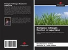 Monalisa B. Costa-Santos, Renato Lemos Santos - Biological nitrogen fixation in sugarcane