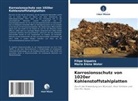 Filipe Siqueira, Maria Elena Water - Korrosionsschutz von 1020er Kohlenstoffstahlplatten