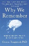 Charan Ranganath - Why We Remember