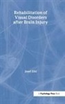 Josef Zihl - Rehabilitation of Visual Disorders After Brain Injury
