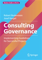 Robert Bodenstein, Josef Herget - Consulting Governance