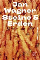Jan Wagner - Steine & Erden