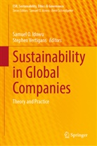 Samuel O Idowu, Samuel O. Idowu, Samuel O Idowu, Vertigans, Stephen Vertigans - Sustainability in Global Companies