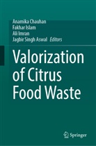 Anamika Chauhan, Ali Imran, Ali Imran et al, Fakhar Islam, Jagbir Singh Aswal - Valorization of Citrus Food Waste