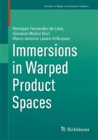 Henrique Fernandes de Lima, Giovanni Molica Bisci, Marco Antonio Lázaro Velásquez - Immersions in Warped Product Spaces