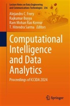 Rajkumar Buyya, Alejandro C. Frery, Ram Mohan Rao Kovvur, Ram Mohan Rao Kovvur et al, T. Hitendra Sarma - Computational Intelligence and Data Analytics