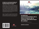 Gabriela Lorenzon - Incidences environnementales de la mise en oeuvre de la centrale hydroélectrique de Ludesa