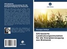 Olusegun Osifuye - GIS-basierte Landnutzungssimulation für die Energieerzeugung aus Biomasse