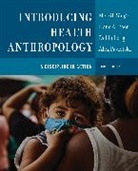 Hans A Baer, Baer Hans A., Debbi Long, Long Debbi, Alex Pavlotski, Merrill Singer... - Introducing Health Anthropology