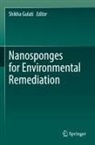 Shikha Gulati - Nanosponges for Environmental Remediation