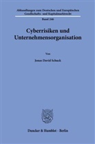 Jonas David Schuck - Cyberrisiken und Unternehmensorganisation