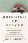 John Aberth - Bringing Up Beaver