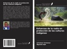 Iorlumun Tarlumun, Nguemo Ujia - Esfuerzos de la radio en protección de las culturas indígenas