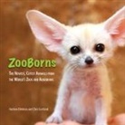 Andrew Bleiman, Andrew/ Eastland Bleiman, Chris Eastland - Zooborns
