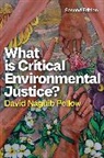 David Naguib (University of California Pellow, Pellow David Naguib - What Is Critical Environmental Justice?