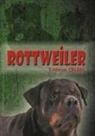 Yildirim Celebi - Rottweiler