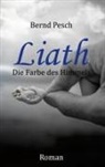 Bernd Pesch - Liath - Die Farbe des Himmels