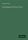 Anastasius Grün - Spaziergänge eines Wiener Poeten