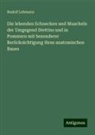 Rudolf Lehmann - Die lebenden Schnecken und Muscheln der Umgegend Stettins und in Pommern mit besonderer Berücksichtigung ihres anatomischen Baues