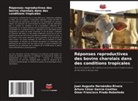 Arturo César García-Casillas, Juan Augusto Hernández-Rivera, Omar Francisco Prado-Rebolledo - Réponses reproductives des bovins charolais dans des conditions tropicales