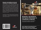 Arturo César García-Casillas, Juan Augusto Hernández-Rivera, Omar Francisco Prado-Rebolledo - Risposte riproduttive dei bovini Charolais in condizioni tropicali