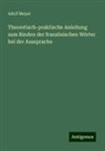 Adolf Meyer - Theoretisch-praktische Anleitung zum Binden der französischen Wörter bei der Aussprache