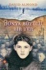 David Almond - Dünya Büyülü Bir Yer