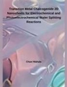 Chavi Mahala - Transition Metal Chalcogenide 2D Nanosheets for Electrochemical and Photoelectrochemical Water Splitting Reactions
