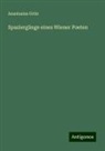 Anastasius Grün - Spaziergänge eines Wiener Poeten
