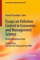 Fouad El Ouardighi - Essays on Pollution Control in Economics and Management Science