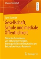 Carlo Schmidt - Gesellschaft, Schule und mediale Öffentlichkeit