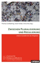 Bärbel Beinhauer-Köhler, Peter Beyer, Burchard, Thomas Großbölting, Karen Körber, Anna Körs - Zwischen Pluralisierung und Regulierung