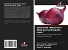 ALINE Pacheco Albuquerque, Gilmar T. de Araújo, Ana Paula T. Rocha - Estrazione idroalcolica della buccia di cipolla rossa