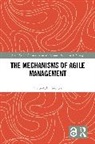 Klara-Aylin Wenten - Mechanisms of Agile Management
