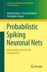 Antonio Galves, Eva Löcherbach, Christophe Pouzat - Probabilistic Spiking Neuronal Nets