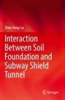 Zhen-Dong Cui - Interaction Between Soil Foundation and Subway Shield Tunnel