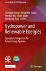 Bjorn Nilsen, Richard M. Taylor, Wenhao Wu, Gensheng Zhao, Sheng¿an Zheng, Sheng'an Zheng - Hydropower and Renewable Energies