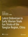 Xu Chen, Daniel Goldman, Hongyan Wang - Latest Ordovician to Early Silurian Shale Gas Strata of the Yangtze Region, China