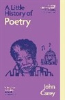 John Carey - A Little History of Poetry