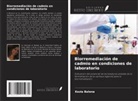 Kezia Balena - Biorremediación de cadmio en condiciones de laboratorio