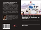 Kezia Balena - Biorémédiation du cadmium en conditions de laboratoire