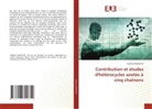 Madiha Djahieche - Contribution et études d'hétérocycles azotés à cinq chaînons