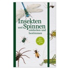 Insekten und Spinnen entdecken und bestimmen
