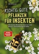 Elke Schwarzer - Richtig gute Pflanzen für Insekten