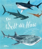 Darcy Dobell, Becky Thorns, Kleine Gestalten, Kleine Gestalten - Die Welt der Haie