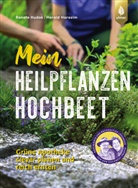 Harald Harazim, Renate Hudak - Mein Heilpflanzen-Hochbeet