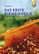 Jean Riondet - Das erste Bienenvolk  - Schritt für Schritt